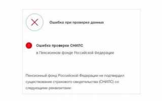 Ошибки со СНИЛС и методы устранения на сайте Госуслуг