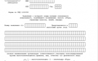 Как вернуть переплату по взносам: разъясняет ПФР