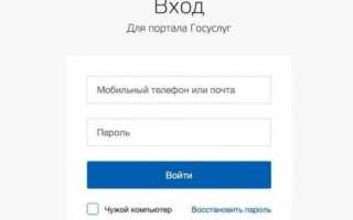 Оформление заявки на детские выплаты онлайн: пошаговый алгоритм