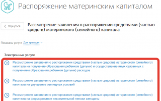 Оформить материнский капитал через Госуслуги: на что можно потратить материнский капитал