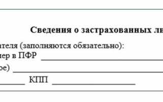 Отчетность СЗВ-М. Пошаговая инструкция по заполнению