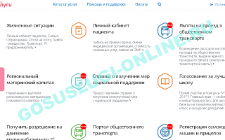 Госуслуги Тюменской области и города Тюмень