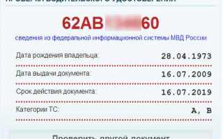 Как проверить права по базе ГИБДД онлайн – пошаговая инструкция