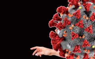 Страховые взносы ИП за себя в 2020 году: сколько и когда платить