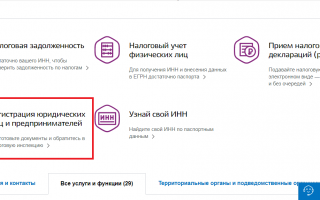 Регистрация ООО на портале Госуслуг