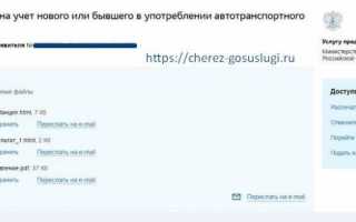 Как записаться на регистрацию автомобиля в ГИБДД и оплатить пошлину через Госуслуги?