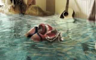 Получение справки о наличии или отсутствии недвижимости в собственности