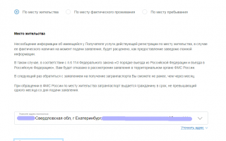 Второй загранпаспорт при наличии первого: 2 важных условия и способы получения