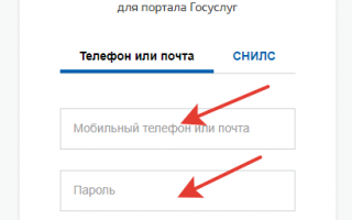 Как обжаловать штраф гибдд через госуслуги