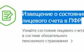 Как узнать когда на пенсию по вредности через госуслуги