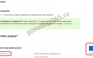 Как записаться на экзамен в ГИБДД через Госуслуги