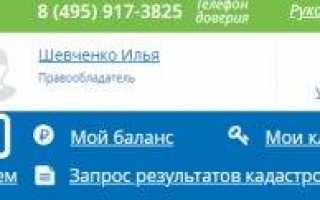 Как получить выписку из ЕГРН через Госуслуги в Росреестр?