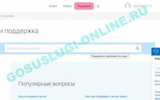 Проверка паспорта на Госуслугах: тонкости и нюансы