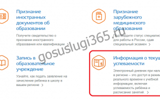 Как зарегистрировать ребенка на портале Госуслуг