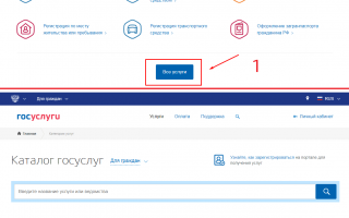 Замена водительского удостоверения через портал «Госуслуги» в 2020 году: пошаговая инструкция от юриста