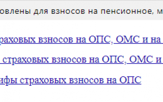 РСВ-1 ПФР в 2019 году: новые правила заполнения старых форм