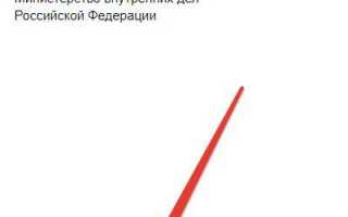 Как заказать и получить справку об отсутствии судимости через портал Госуслуг