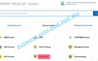 Получение выписки из Росреестра через Госуслуги