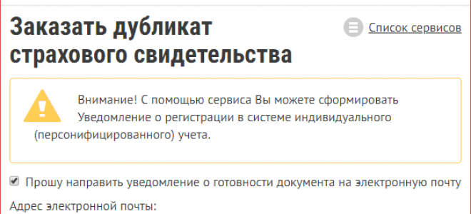 Электронный СНИЛС