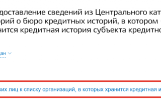 Проверка кредитной истории через сайт Госуслуги
