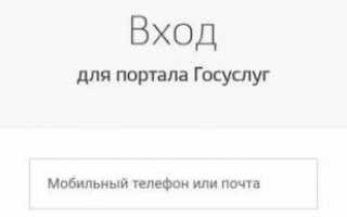Скачать приложение Госуслуги. Установить Gosuslugi на мобильный телефон
