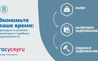 Скидка 30% на оплату пошлин через госуслуги будет действовать еще 2 года