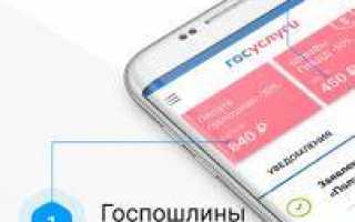 Как установить на телефоне Госуслуги – подробная инструкция