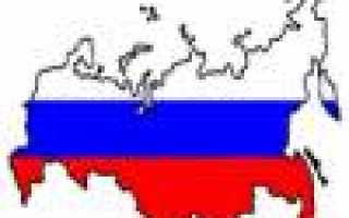 Мобильное Приложение Госуслуги Москвы