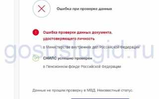 Почему паспорт не прошел проверку на Госуслугах