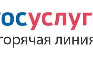 Горячая линия Госуслуги