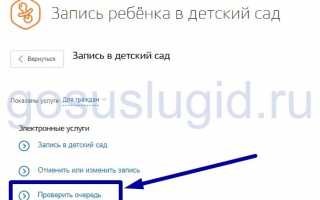 Как посмотреть и узнать очередь в детский сад на Госуслугах