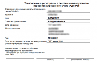 Как получить СНИЛС