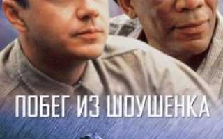 Бесплатно смотреть фильмы онлайн — в хорошем качестве