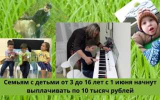 Как подать заявление на получение выплаты 10 000 руб. через Госуслуги