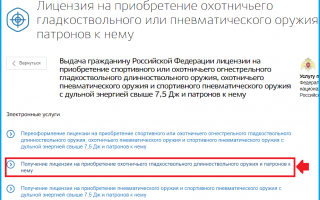 Как получить лицензию на травматическое оружие через госуслуги