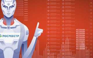 Получение выписок из ЕГРН и проверка недвижимости