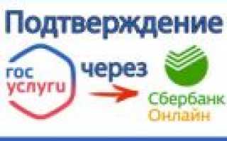 Как подтвердить личность через МФЦ для сайта Госуслуг