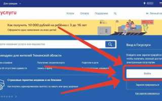 Какие бывают статусы заявления на госуслугах