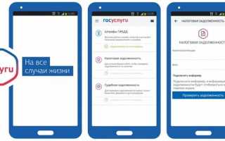 Госуслуги скачать бесплатно: для Windows 7 и Виндовс 10, для Android, для IOS