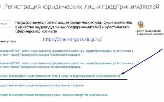 Регистрация ИП через портал Госуслуг