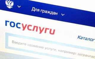 Кредитная история через Госуслуги: заказываем выписку из БКИ