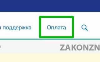 Регистрация брака через Госуслуги: как подать заявление, оплатить госпошлину?