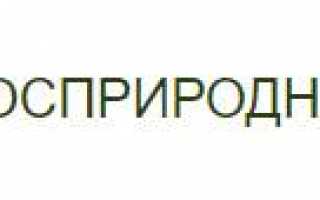Личный кабинет Росприроднадзора через Госуслуги
