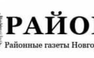 Жителям Новгородской области с детьми от 3 до 16 лет на телефон придут СМС-напоминания от ПФР