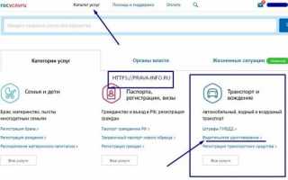 Пошаговая инструкция по оплате госпошлины на получение водительских прав через Госуслуги