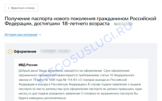 Образец и инструкция по заполнению анкеты на загранпаспорт нового образца для лиц старше 18 лет