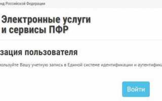Что такое пенсионные баллы и как их посчитать на Госуслугах