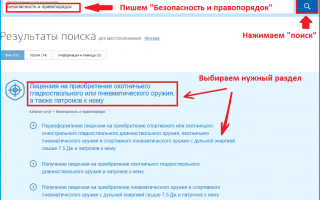 Продление разрешения на травматическое оружие через госуслуги