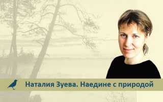 Региональный портал электронных услуг Новгородской области