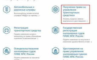 Оплатить госпошлину через Госуслуги — пошаговая инструкция